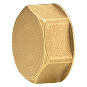 Пробка для коллектора Giacomini 1″, R594Y004