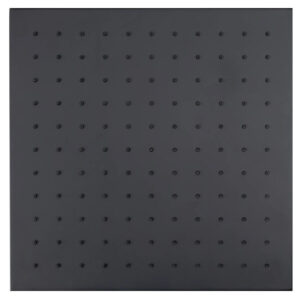 Верхний душ Splendy Feeling S FS212X300S1BM матовый черный